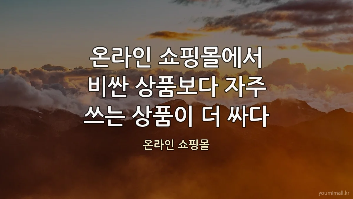 온라인 쇼핑몰에서 비싼 상품보다 자주 쓰는 상품이 더 싸다