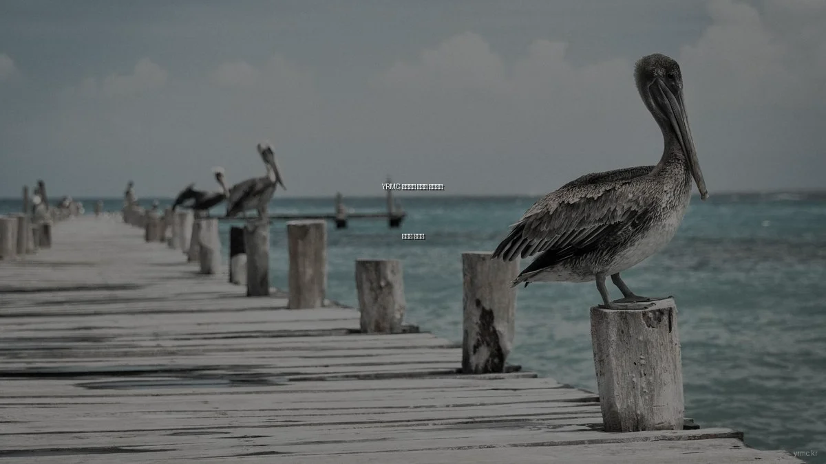 YRMC 의료센터 제대로 활용하기: 초보자 가이드