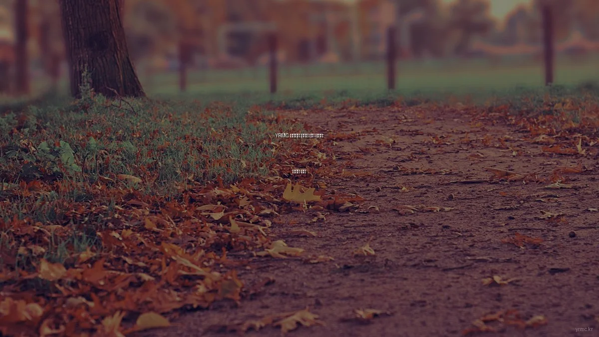 YRMC 의료센터 갱신된 시설 체험기: 장단점 분석