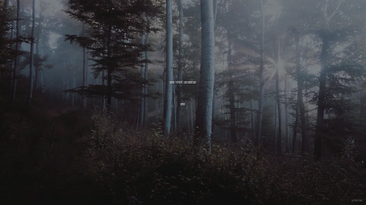 예산별 YRMC 진료 서비스 완벽 가이드