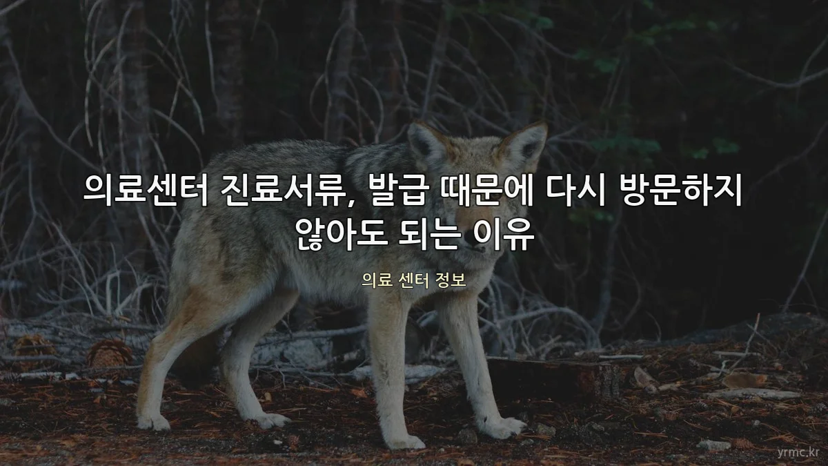 의료센터 진료서류, 발급 때문에 다시 방문하지 않아도 되는 이유