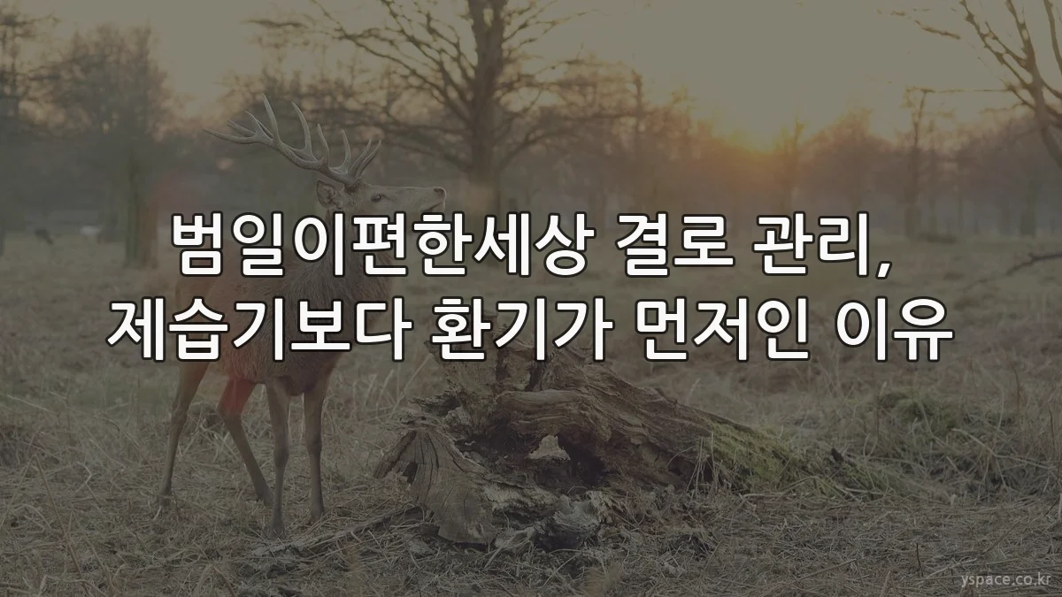 범일이편한세상 결로 관리, 제습기보다 환기가 먼저인 이유