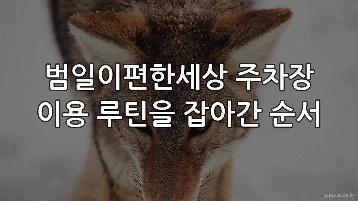 범일이편한세상 주차장 이용 루틴을 잡아간 순서