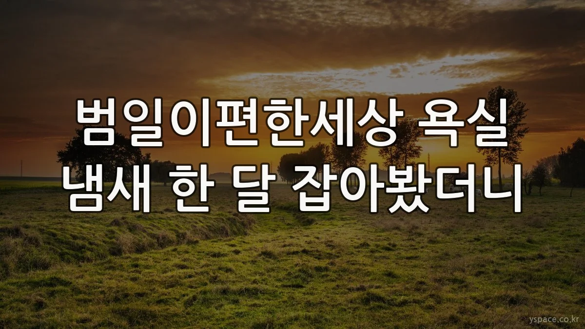 범일이편한세상 욕실 냄새 한 달 잡아봤더니