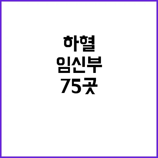 하혈 임신부 75곳…