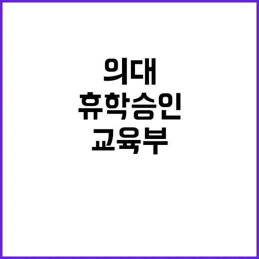 “의대 휴학 승인 …