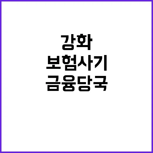 보험사기, 금융당국 조사권 강화로 새로운 전환점!