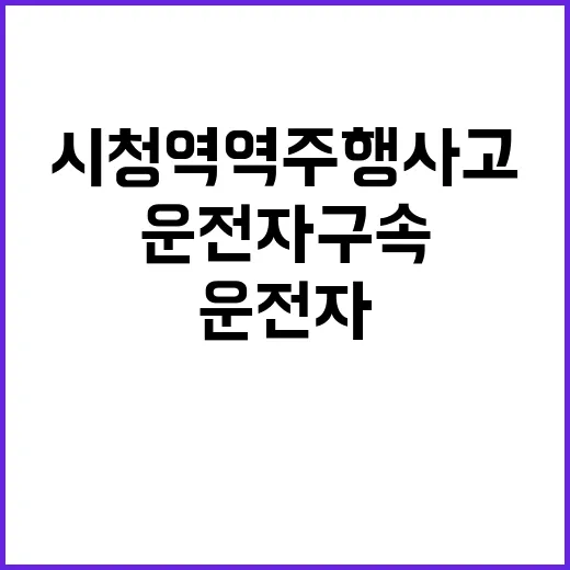 운전자 구속, 시청…