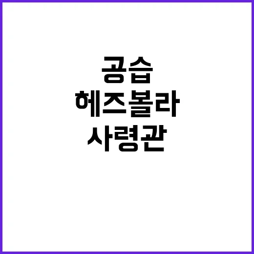 헤즈볼라 사령관, …