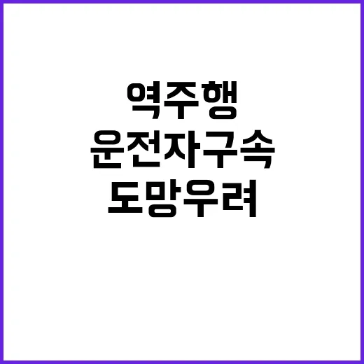 역주행 사고, 운전자 구속으로 도망 우려!