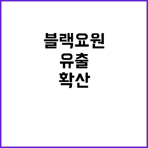 블랙요원 유출, 파장 어디까지 확산될까?