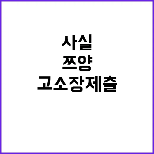 쯔양, 고소장 제출…