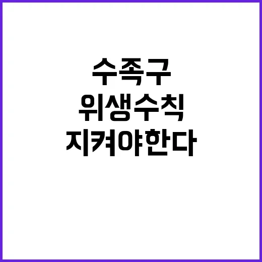 수족구 병, 개인위…