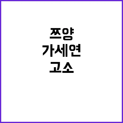 가세연, 쯔양 고소…