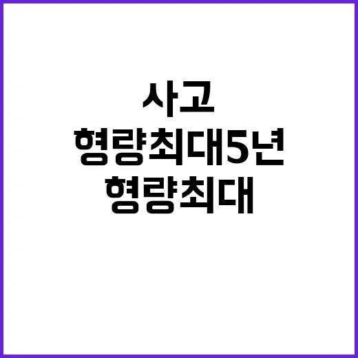 사고 발생, 형량 최대 5년의 진실 공개!