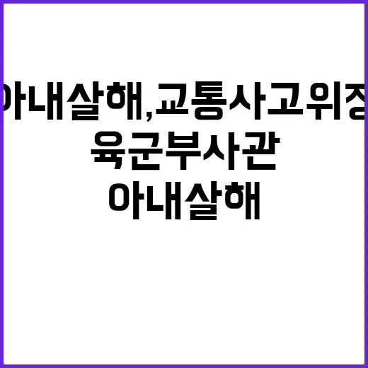 아내 살해, 교통사고 위장한 육군 부사관의 운명