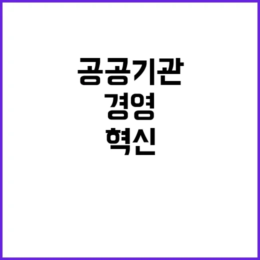 자율 경영, 공공기…