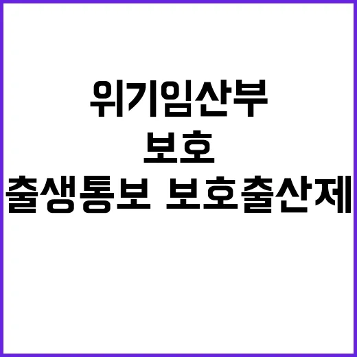 위기임산부 지원, 출생통보·보호출산제 효과?