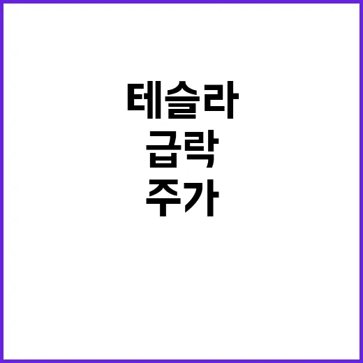 테슬라 리콜, 주가…