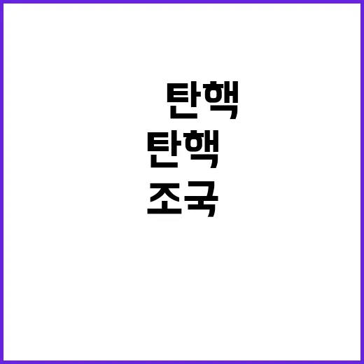 조국의 尹탄핵 계획…