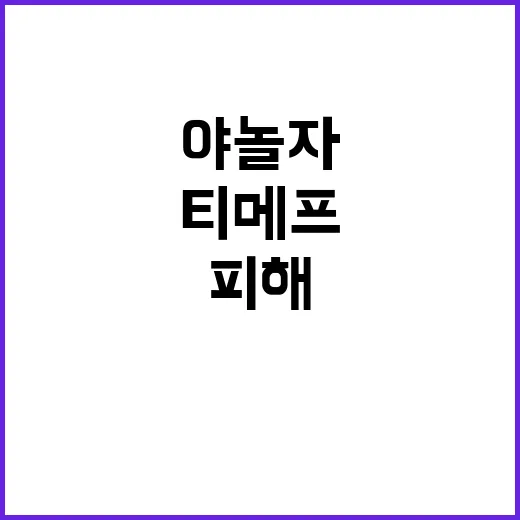 보상금, 야놀자 티…