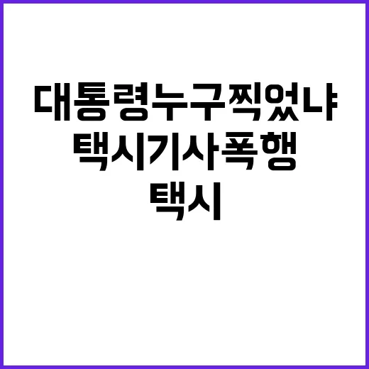 택시기사 폭행, 대통령 누구 찍었냐 질문의 대가