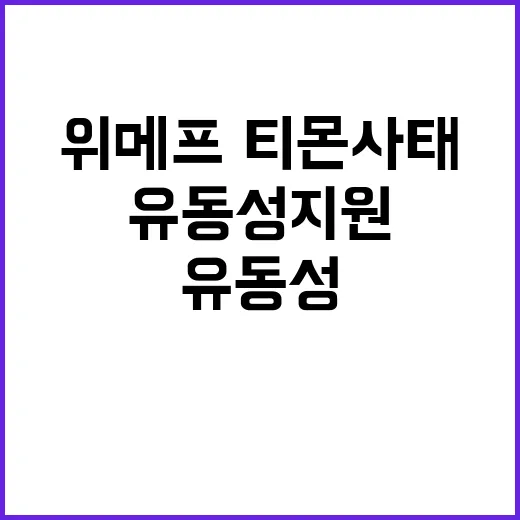 위메프·티몬 사태, 추가 유동성 지원 필요성 대두