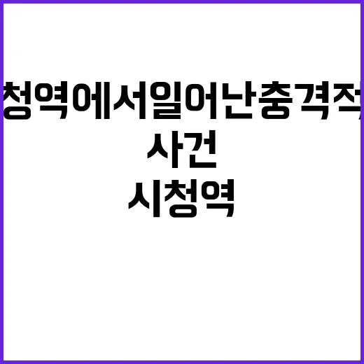 역주행 사건, 시청역에서 일어난 충격적인 진실!