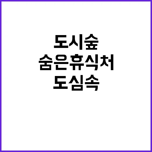 도시숲 도심 속 숨은 휴식처, 꼭 방문하세요!