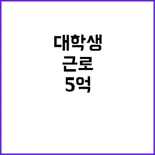 대학생 근로장려금 …