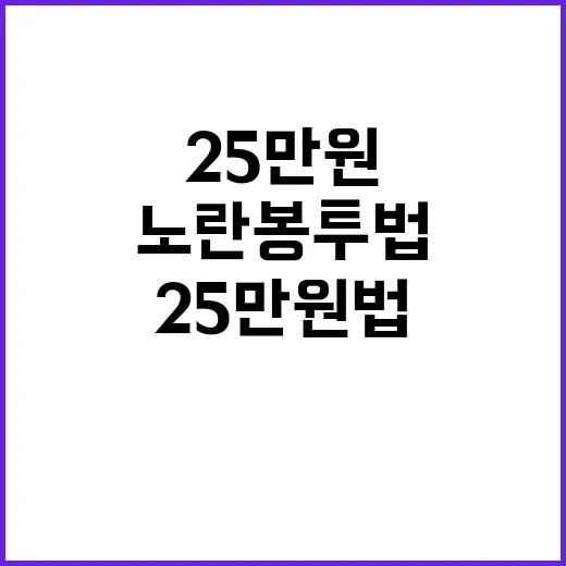 25만원법, 노란봉…