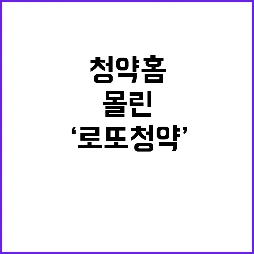 ‘로또청약’ 294만여명 몰린 청약홈 이틀 접속!