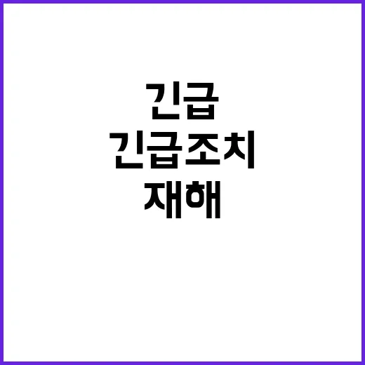 폭염 속 가축, 재해대응반의 긴급 조치!