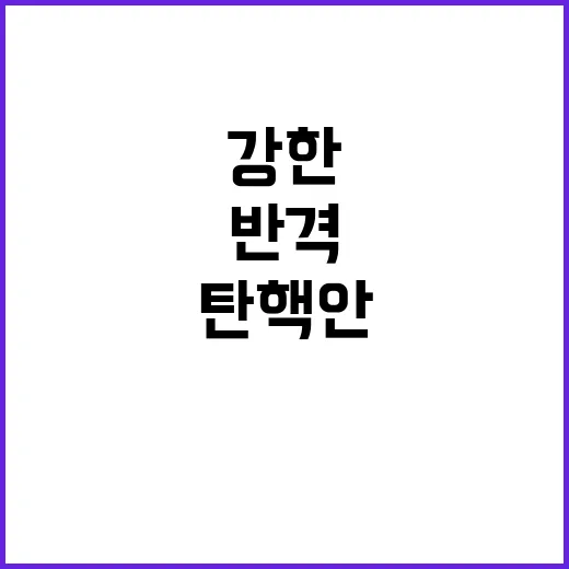 탄핵안, 대통령실의…