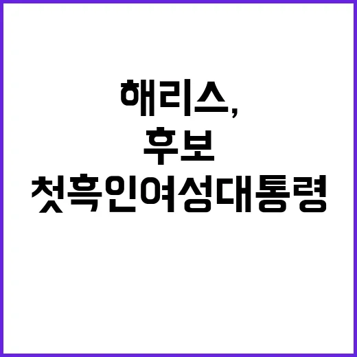 해리스, 첫 흑인 여성 대통령 후보의 미래는?