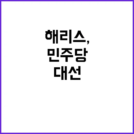 해리스, 미국 대선…