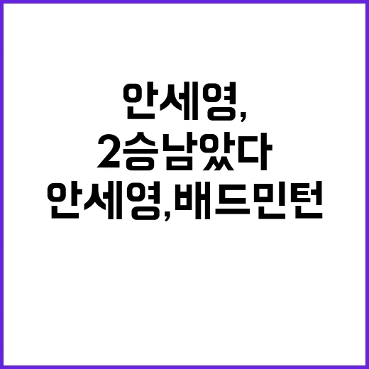 안세영, 배드민턴 …