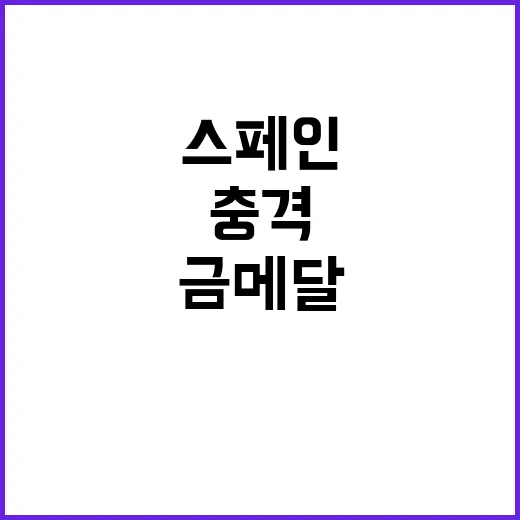 일본, 스페인에 충…