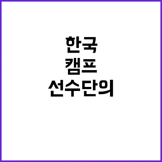 캠프 효과 한국 선…