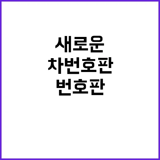 이륜차 번호판, 새…