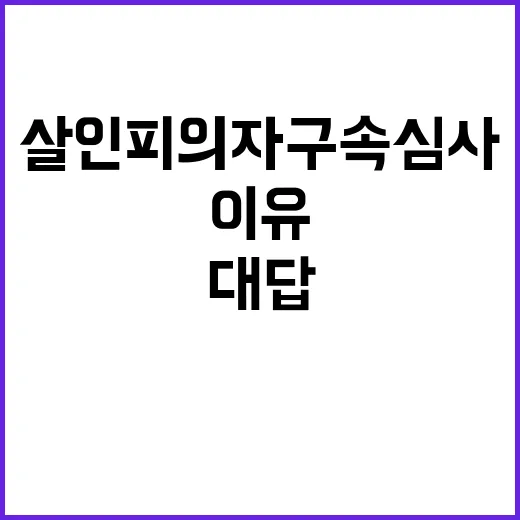 살인 피의자 구속심사 이유, 충격적인 그의 대답!