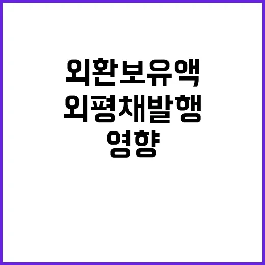 외환보유액 증가, 외평채 발행의 영향은?