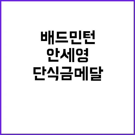 안세영, 배드민턴 …