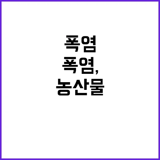 폭염, 농산물 가격…