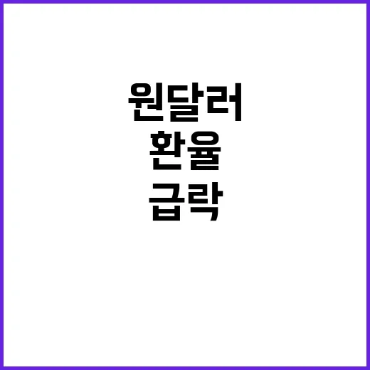 원·달러 환율, 1366.11원으로 급락 예상!