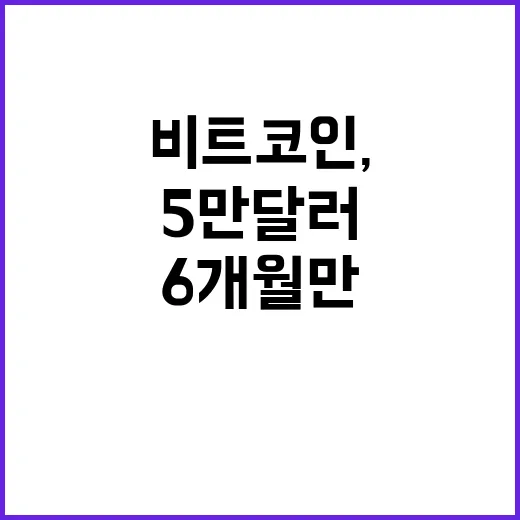 비트코인, 5만달러 이하 하락…6개월 만의 충격!