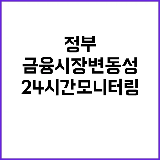 금융시장 변동성, 정부의 24시간 모니터링 발표!