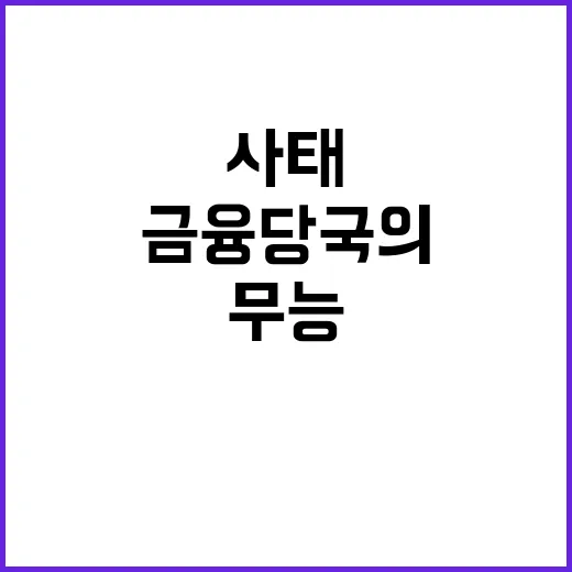 사태의 책임, 윤 정부의 무능과 금융당국의 방치!