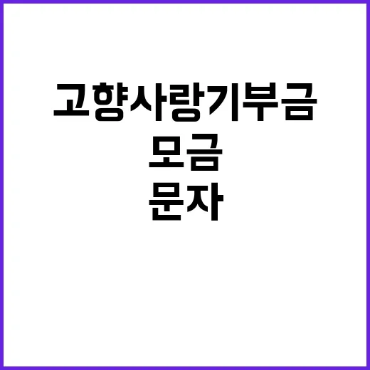 고향사랑기부금, 문자로 모금 시작된다! 꼭 확인하세요!