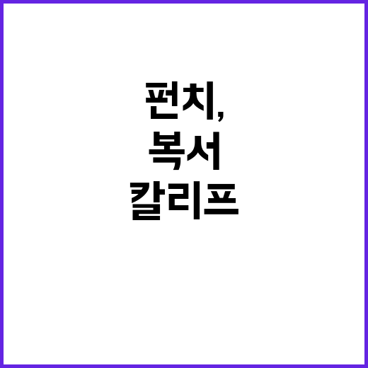 금빛 펀치, 복서 …